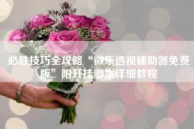 必胜技巧全攻略“微乐透视辅助器免费版”附开挂脚本详细教程