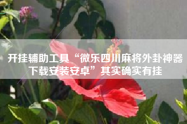 开挂辅助工具“微乐四川麻将外卦神器下载安装安卓”其实确实有挂