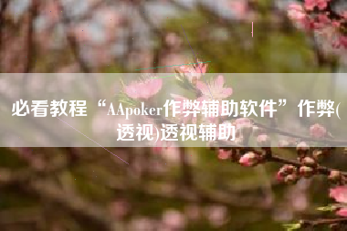 必看教程“AApoker作弊辅助软件”作弊(透视)透视辅助