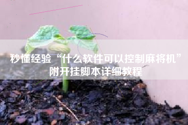 秒懂经验“什么软件可以控制麻将机	”附开挂脚本详细教程