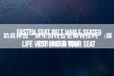 助赢神器“微乐游戏捉老麻有挂吗	”(曝光透视必备猫腻