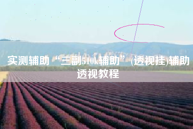 实测辅助“三副510k辅助”(透视挂)辅助透视教程