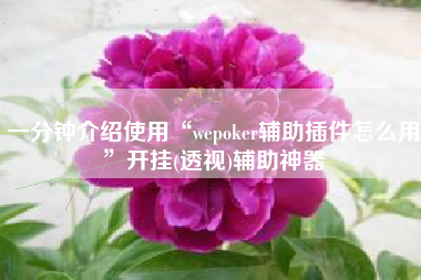 一分钟介绍使用“wepoker辅助插件怎么用”开挂(透视)辅助神器