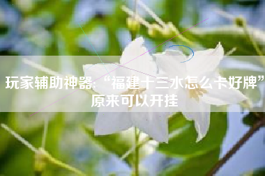 玩家辅助神器:“福建十三水怎么卡好牌”原来可以开挂