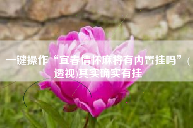 一键操作“宜春情怀麻将有内置挂吗”(透视)其实确实有挂