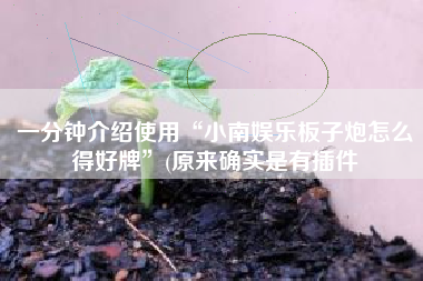 一分钟介绍使用“小南娱乐板子炮怎么得好牌	”(原来确实是有插件