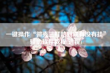 一键操作“微壳三打哈到底有没有挂”辅助软件教程(透视)