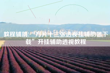 教程辅助!“方片十三张透视挂辅助器下载”开挂辅助透视教程