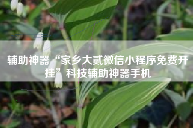 辅助神器“家乡大贰微信小程序免费开挂	”科技辅助神器手机
