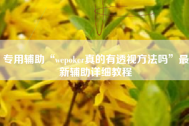 专用辅助“wepoker真的有透视方法吗”最新辅助详细教程