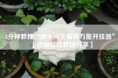 3分钟教程“微乐河北麻将万能开挂器”【透视软件教程分享】