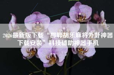 2026最新版下载“邯郸胡乐麻将外卦神器下载安装”科技辅助神器手机