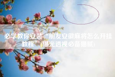 必学教你安装“朋友安徽麻将怎么开挂教程”(曝光透视必备猫腻)