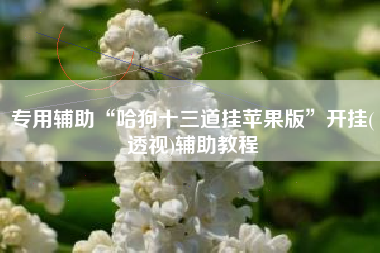 专用辅助“哈狗十三道挂苹果版	”开挂(透视)辅助教程