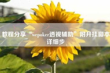 教程分享“wepoker透视辅助”附开挂脚本详细步