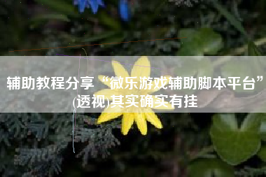 辅助教程分享“微乐游戏辅助脚本平台”(透视)其实确实有挂
