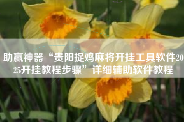 助赢神器“贵阳捉鸡麻将开挂工具软件2025开挂教程步骤	”详细辅助软件教程