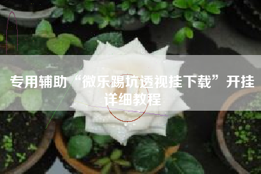 专用辅助“微乐踢坑透视挂下载”开挂详细教程