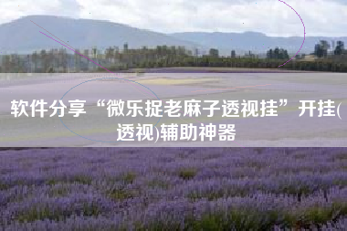 软件分享“微乐捉老麻子透视挂	”开挂(透视)辅助神器