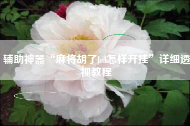 辅助神器“麻将胡了hd怎样开挂”详细透视教程