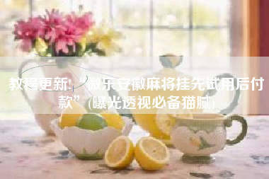 教程更新!“微乐安徽麻将挂先试用后付款”(曝光透视必备猫腻)