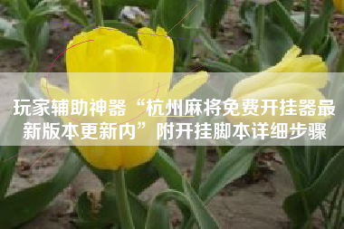 玩家辅助神器“杭州麻将免费开挂器最新版本更新内”附开挂脚本详细步骤