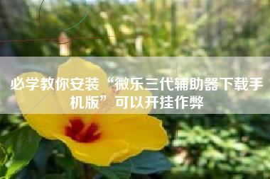 必学教你安装“微乐三代辅助器下载手机版”可以开挂作弊