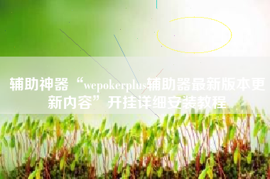 辅助神器“wepokerplus辅助器最新版本更新内容”开挂详细安装教程