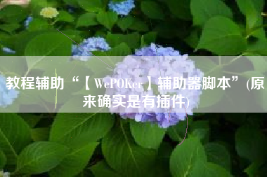 教程辅助“【WePOKer】辅助器脚本”(原来确实是有插件)