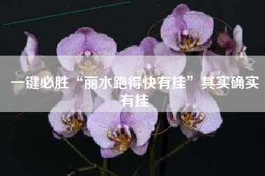 一键必胜“丽水跑得快有挂”其实确实有挂