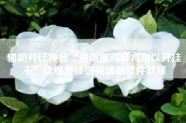 辅助开挂神器“贵阳捉鸡麻将可以开挂不	”详细外挂透视辅助软件教程