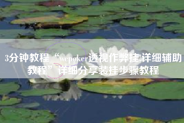3分钟教程“wepoker透视作弊挂!详细辅助教程”详细分享装挂步骤教程