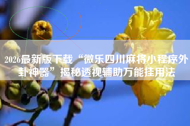 2026最新版下载“微乐四川麻将小程序外卦神器	”揭秘透视辅助万能挂用法