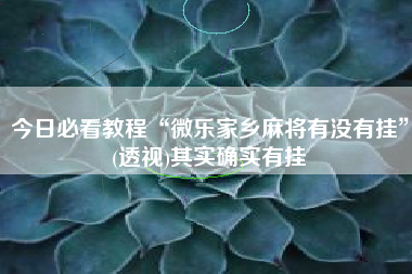 今日必看教程“微乐家乡麻将有没有挂	”(透视)其实确实有挂