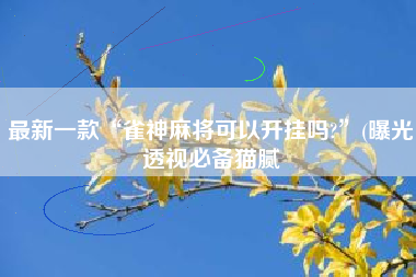 最新一款“雀神麻将可以开挂吗?	”(曝光透视必备猫腻