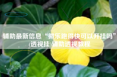 辅助最新信息“微乐跑得快可以开挂吗	”(透视挂)辅助透视教程