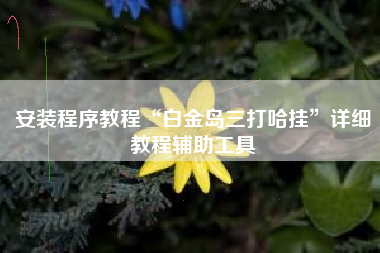 安装程序教程“白金岛三打哈挂	”详细教程辅助工具