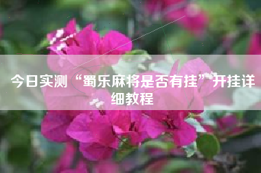 今日实测“蜀乐麻将是否有挂”开挂详细教程
