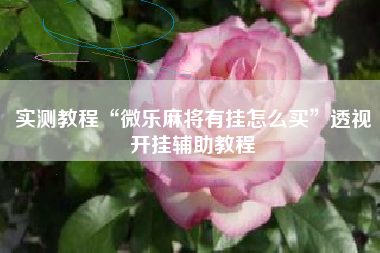 实测教程“微乐麻将有挂怎么买	”透视开挂辅助教程