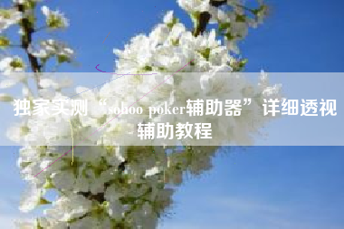 独家实测“sohoo poker辅助器”详细透视辅助教程