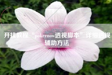 开挂教程“pokernow透视脚本”详细透视辅助方法