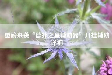 重磅来袭“德扑之星辅助器	”开挂辅助详细