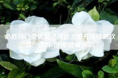 必胜技巧全攻略“德扑之星开挂辅助软件	”作弊(透视)透视辅助