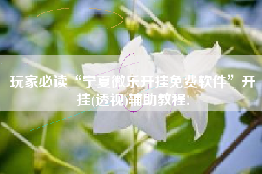 玩家必读“宁夏微乐开挂免费软件”开挂(透视)辅助教程!