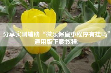 分享实测辅助“微乐保皇小程序有挂吗	”通用版下载教程!