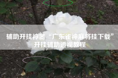 辅助开挂神器“广东雀神麻将挂下载”开挂辅助透视教程