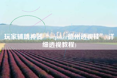 玩家辅助神器“wepoker德州透视挂”(详细透视教程)