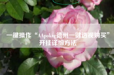 一键操作“AApoker德州一键透视购买	”开挂详细方法
