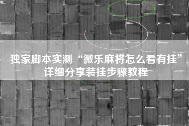 独家脚本实测“微乐麻将怎么看有挂”详细分享装挂步骤教程