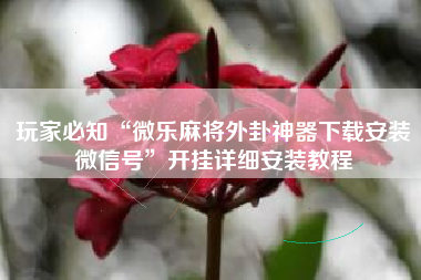 玩家必知“微乐麻将外卦神器下载安装微信号”开挂详细安装教程